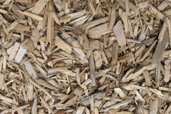 biomass boilers Sandleheath